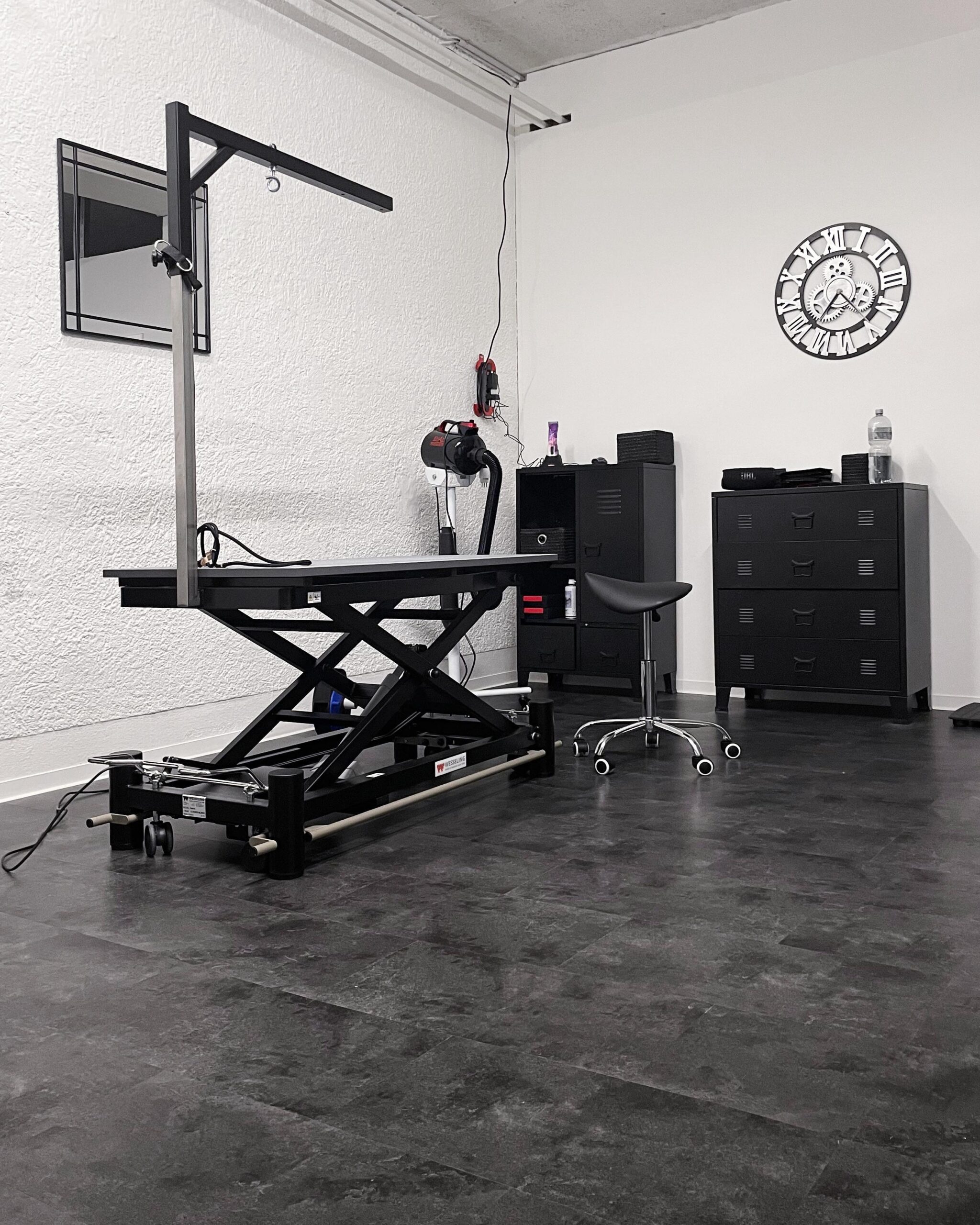 Moderner Pflegebereich im KIBA Hundesalon