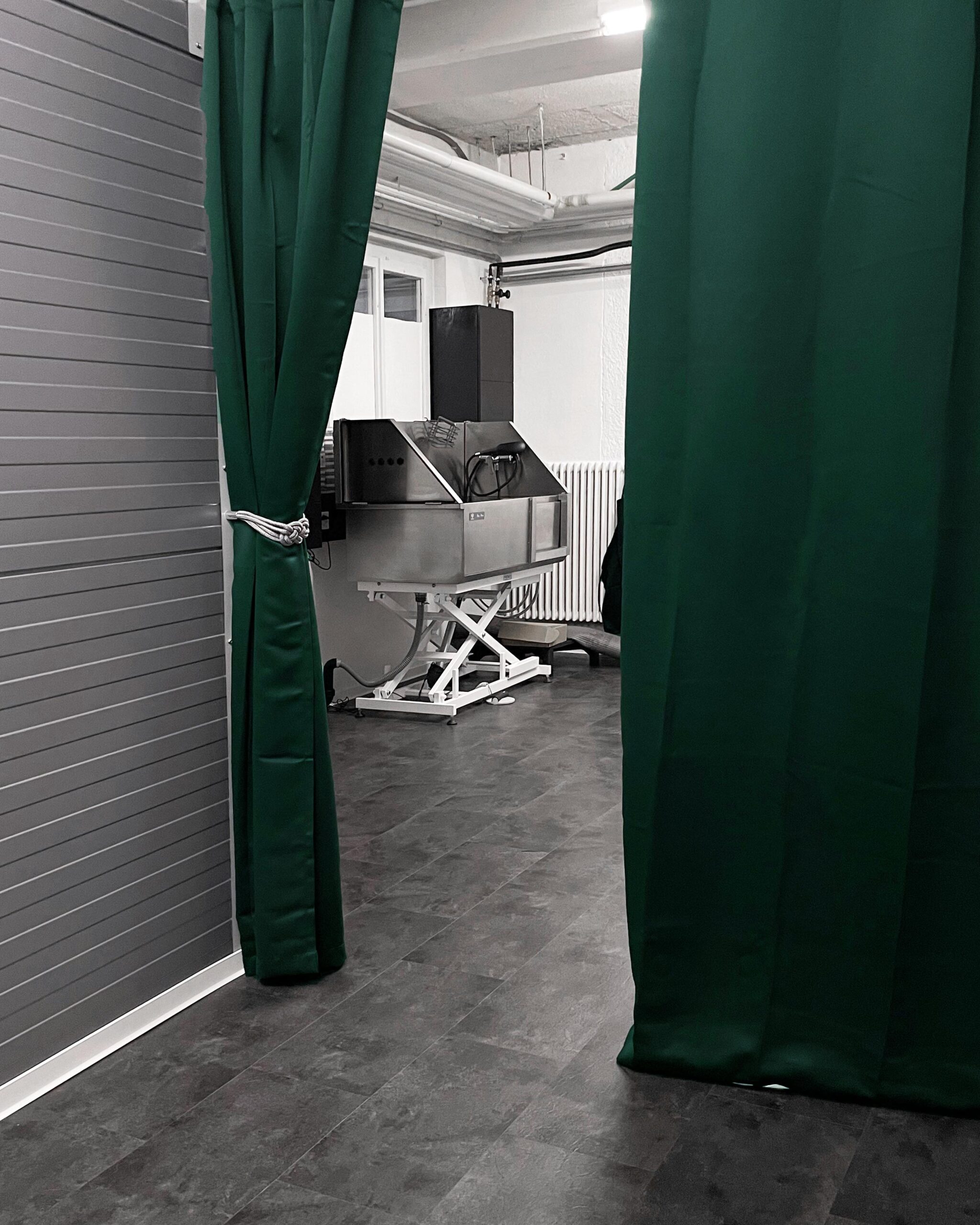 Pflegebereich KIBA Hundesalon