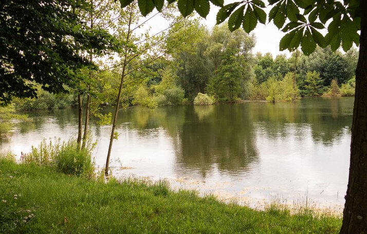 See beim Camping Resort Rülzheim