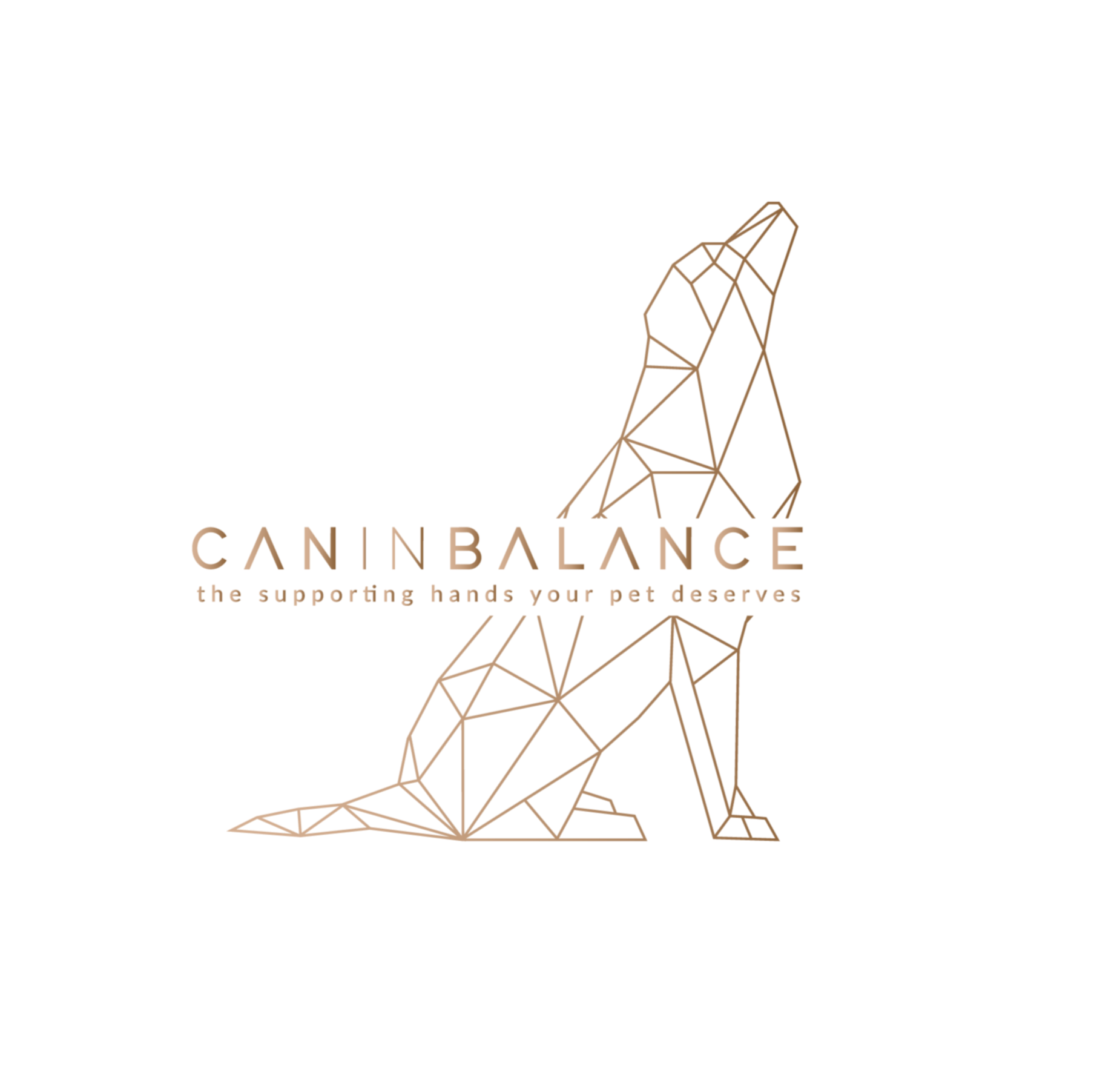 Caninbalance Logo