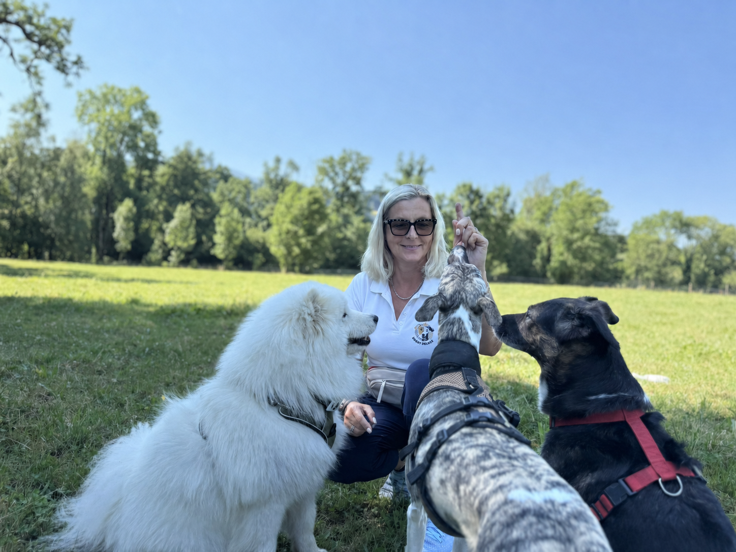 Susanne Olm beim Training mit Hunden