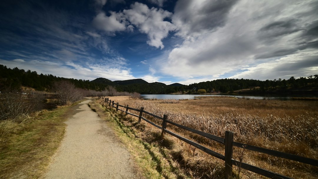 🐾 PAWS & STAYS ROUTE TIP: Flachsee Nature… – dog-friendly community photo