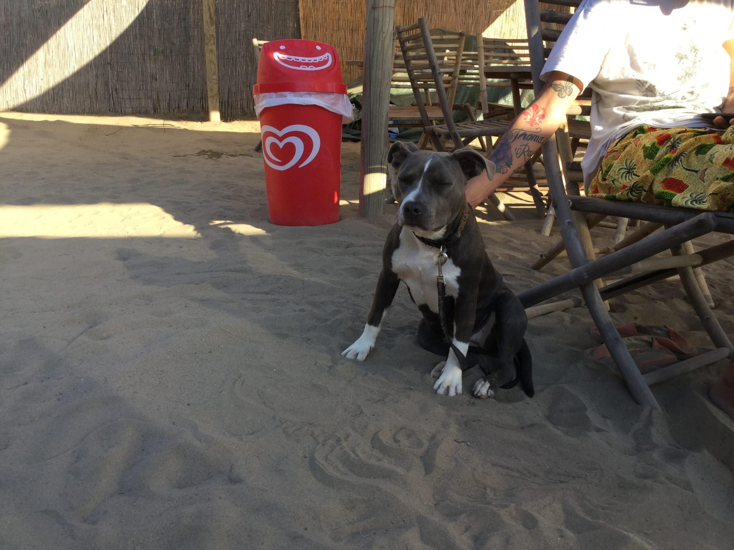 Area dog-friendly del Fuorirotta Beach Club