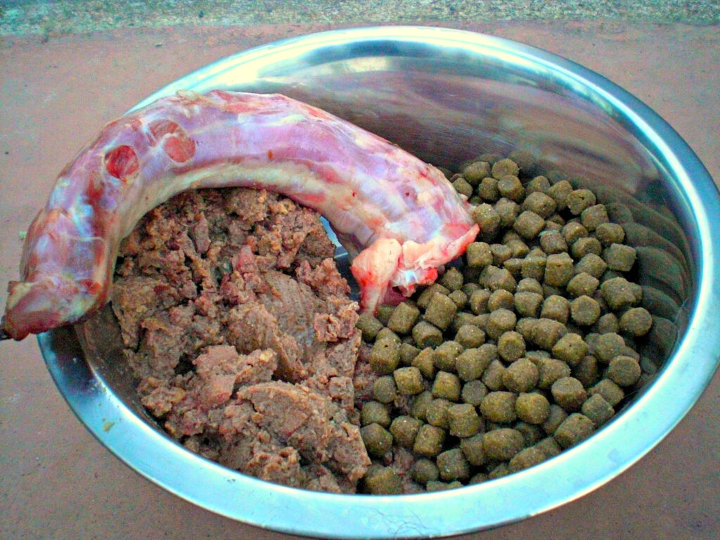 Raw, wet and dry dog food shown side by side
