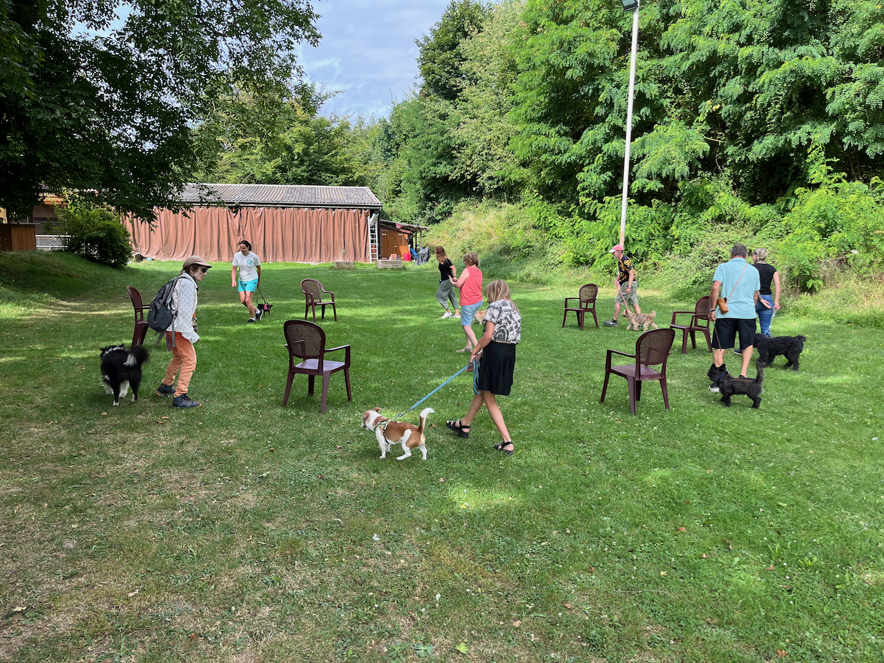 Einblick ins Hundetraining beim Dressurverein Basel 3