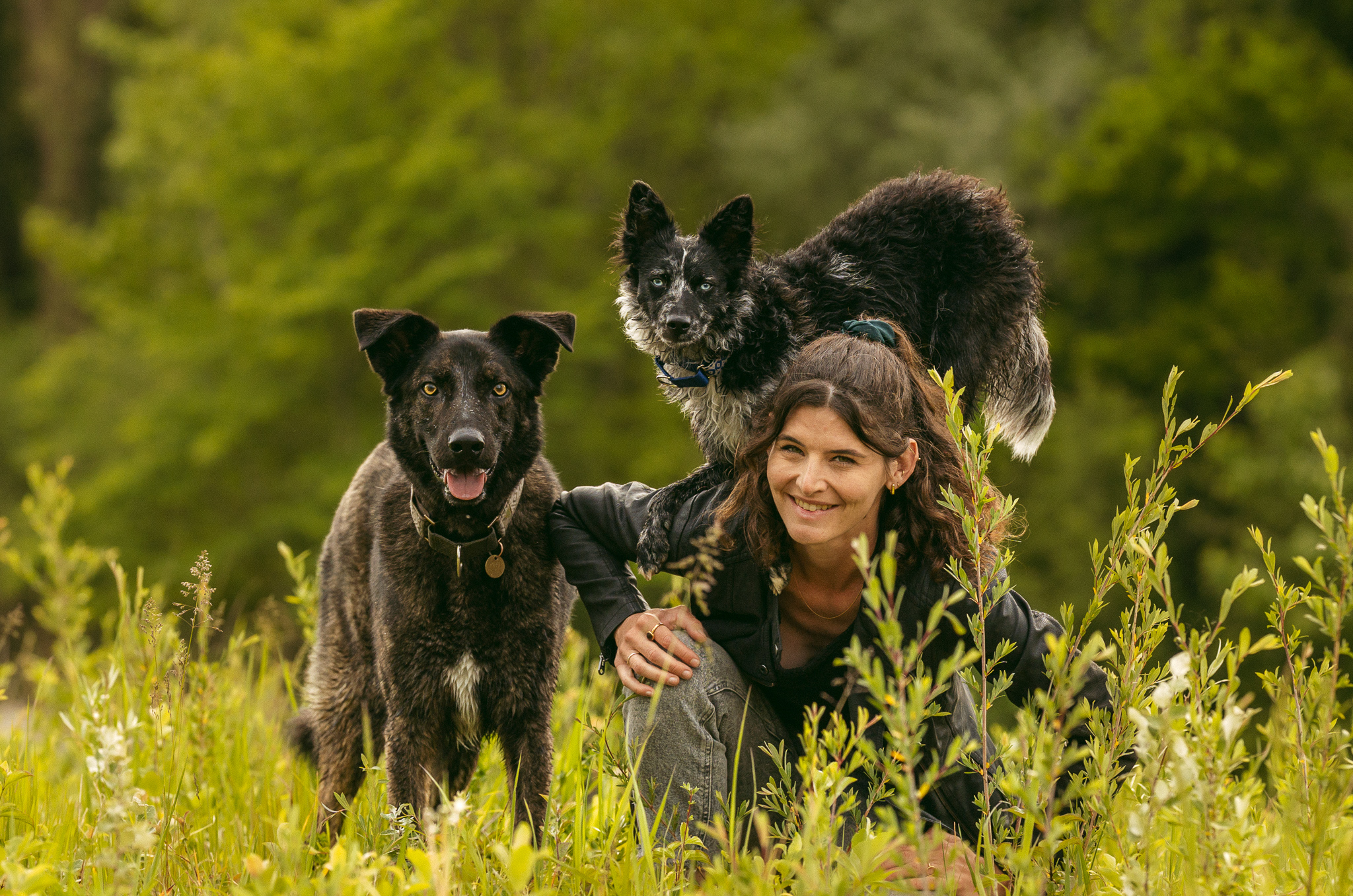 Hundeschule Lernehündisch in Winterthur